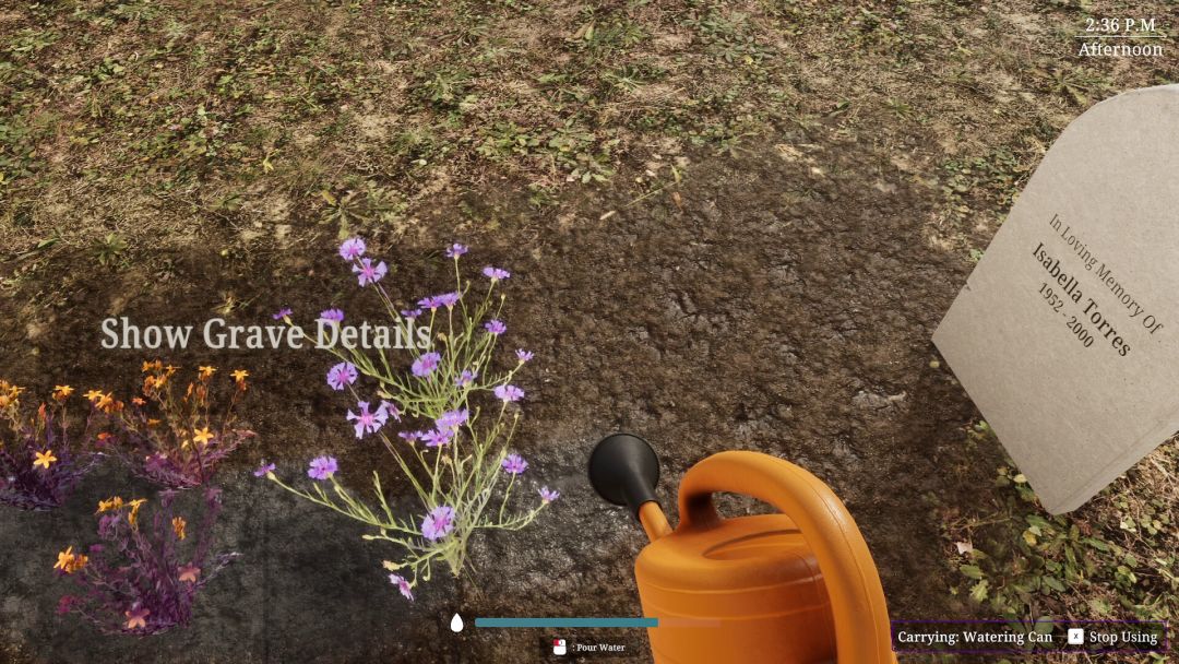 The Unholy Priest游戏截图