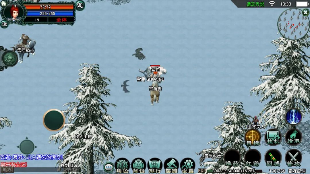 遗忘传说OL游戏截图