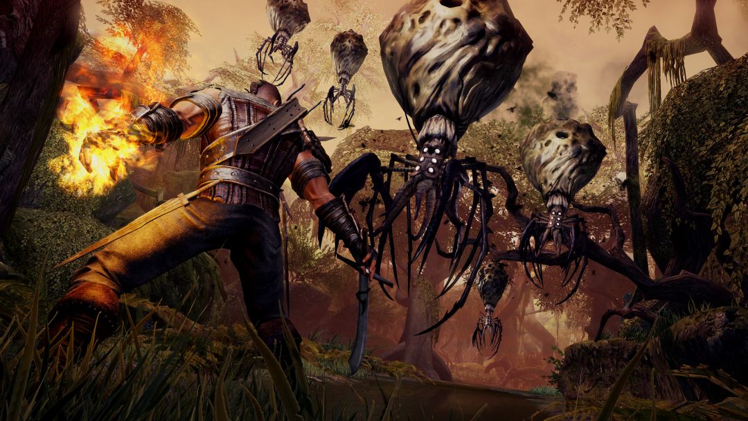 Bound By Flame游戏截图