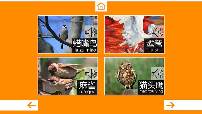 动物叫声-鸟类篇：动物园世界的叫声游戏游戏截图