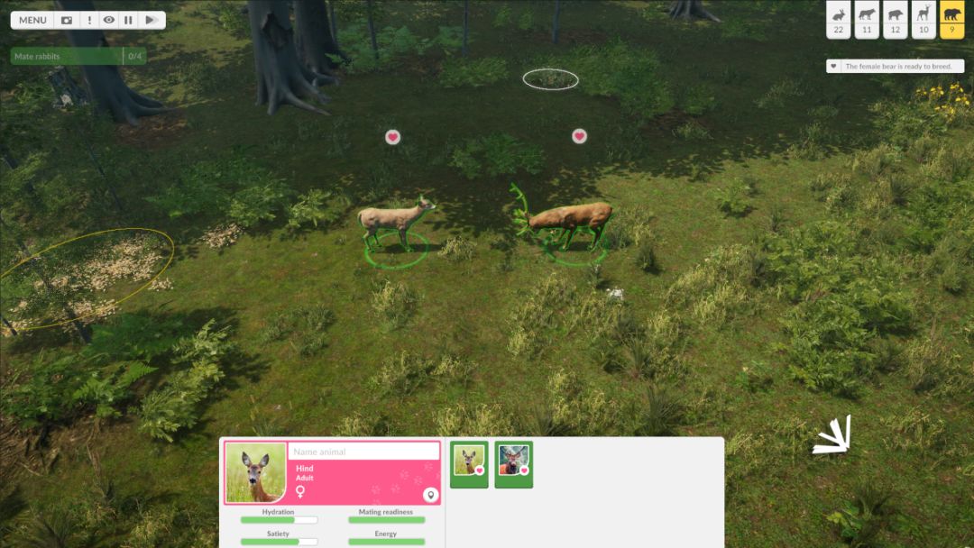 Natural Instincts: European Forest游戏截图