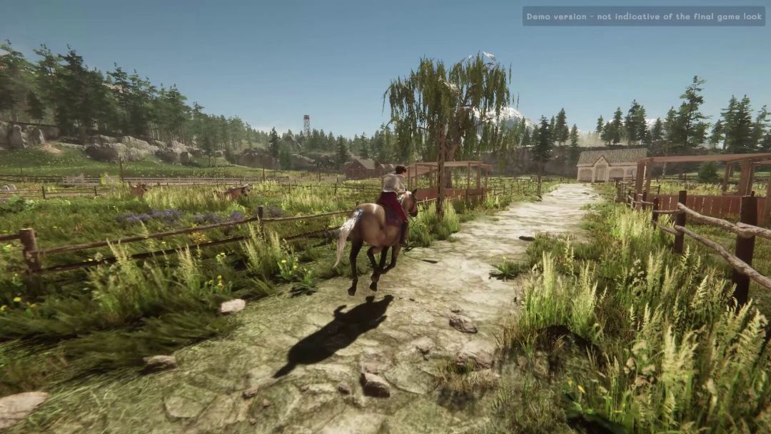 My Horse: Bonded Spirits游戏截图