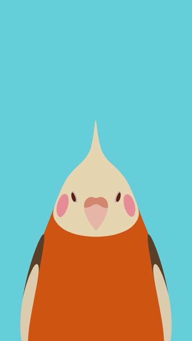 Bird Wallpaper - tori no iro游戏截图