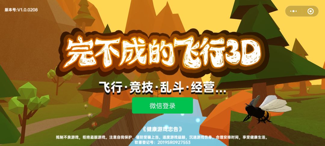 完不成的飞行3D游戏截图