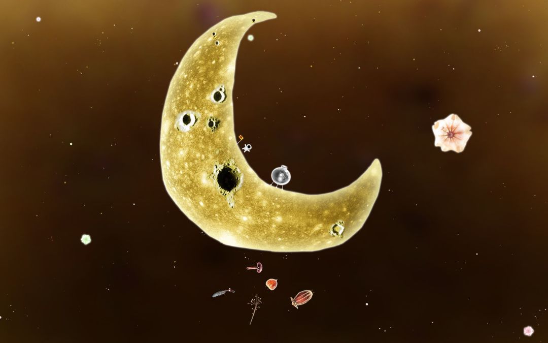 植物精灵 (Botanicula)游戏截图