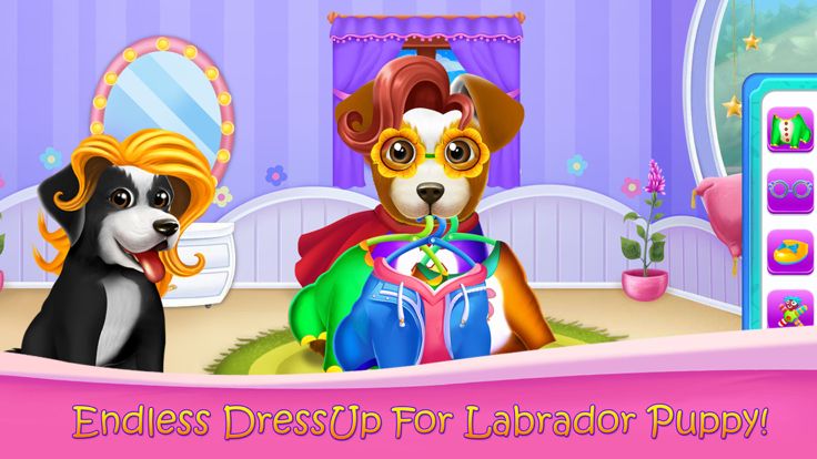 蓬松的拉布拉多幼犬沙龙游戏截图