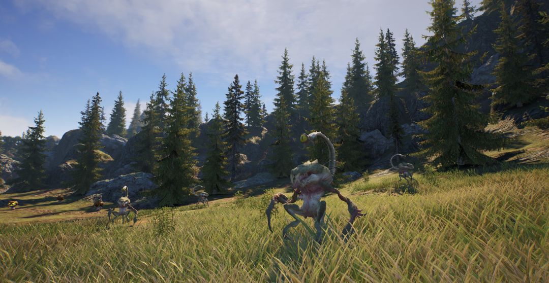 神佑释放游戏截图