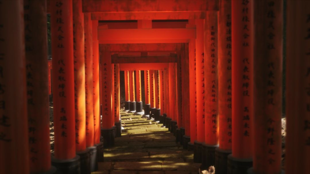 Lushfoil Photography Sim游戏截图