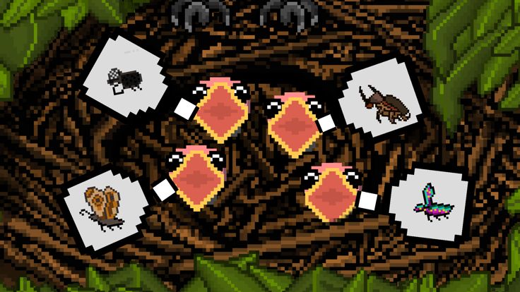 Hungry Birds游戏截图