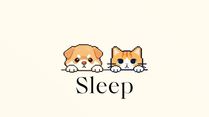 Sleep 封面