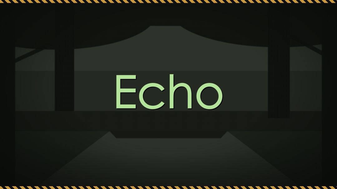 Echo（回声）