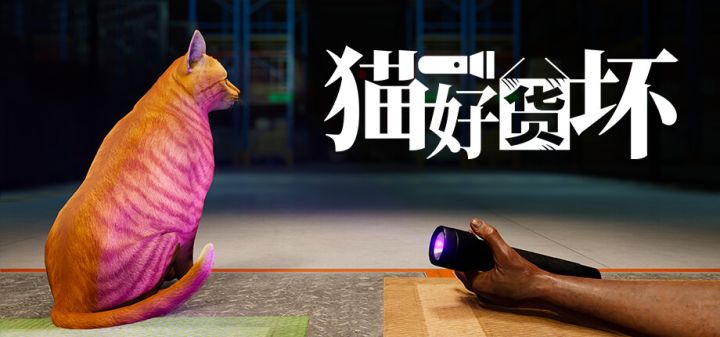 猫好货坏游戏截图