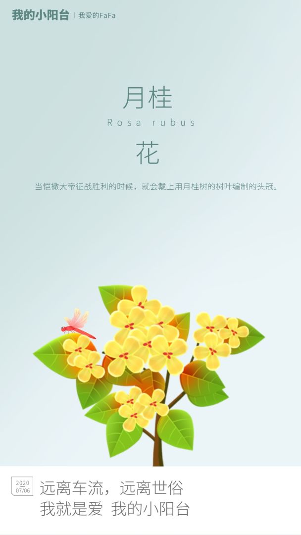 我的小阳台游戏截图