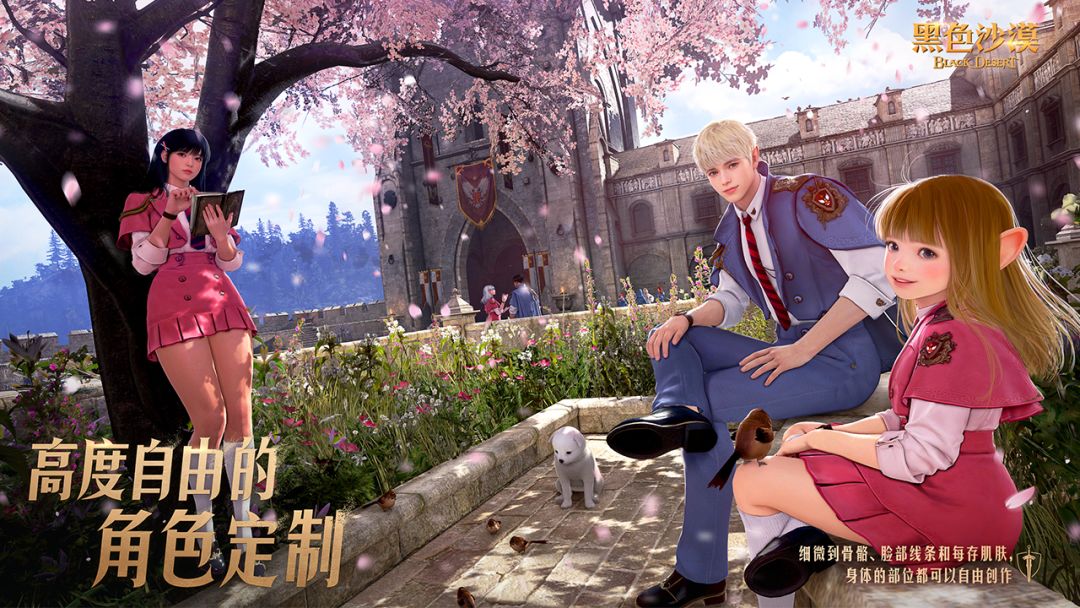 黑色沙漠游戏截图