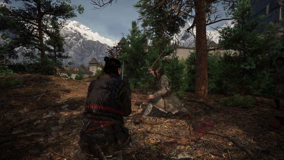 The Blood of Dawnwalker游戏截图