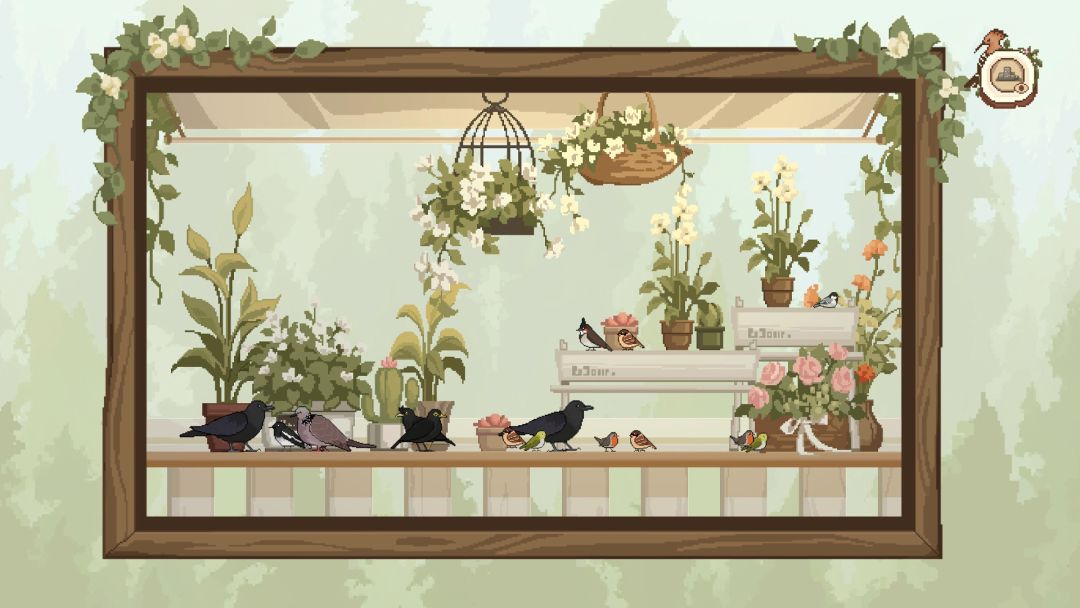 观鸟笔记游戏截图