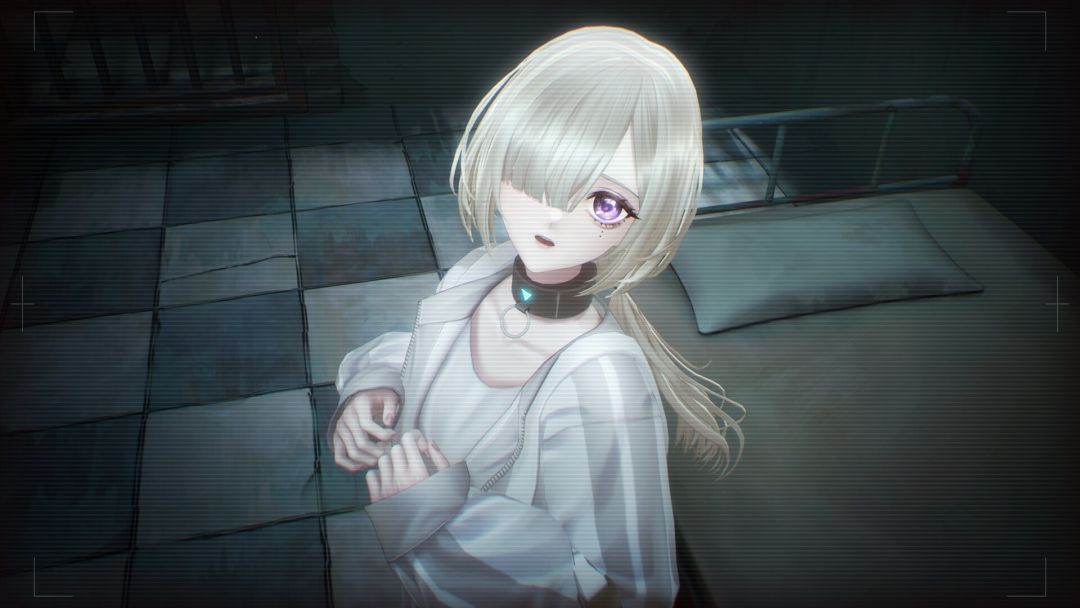 苏菲亚的谎言与代价游戏截图