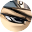 Shining Plume 2icon