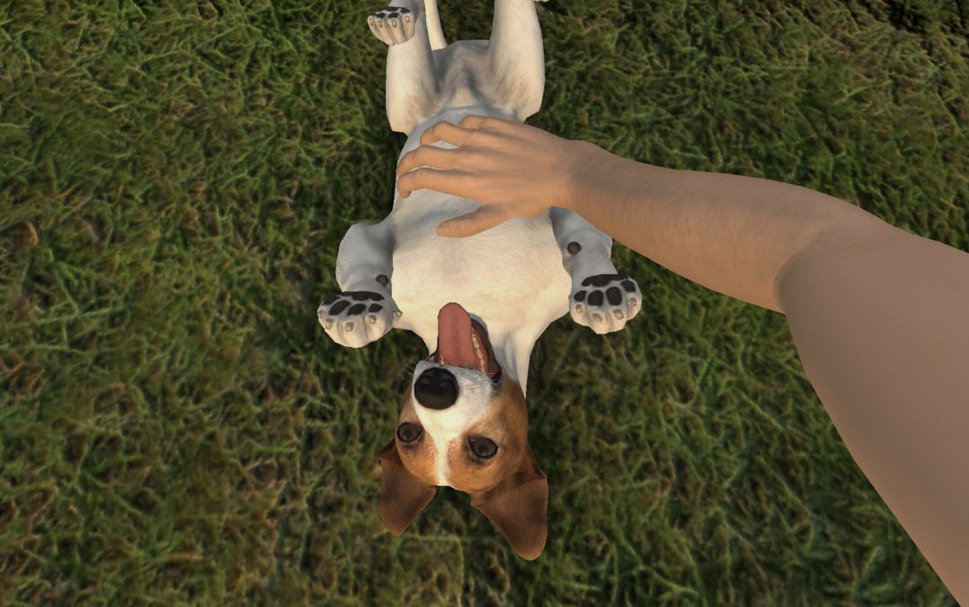 宠物旅馆游戏截图