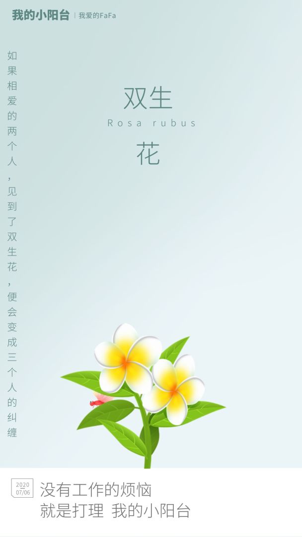 我的小阳台游戏截图