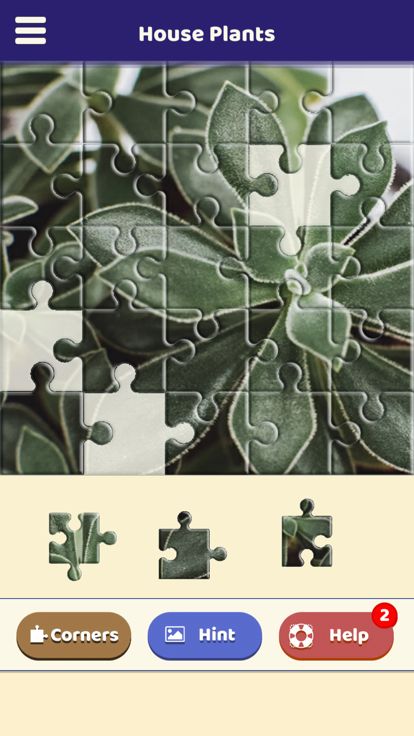 House Plants Puzzle游戏截图