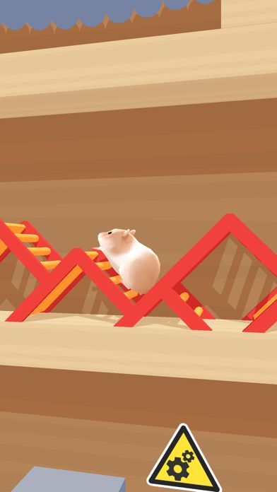 Hamster Maze游戏截图