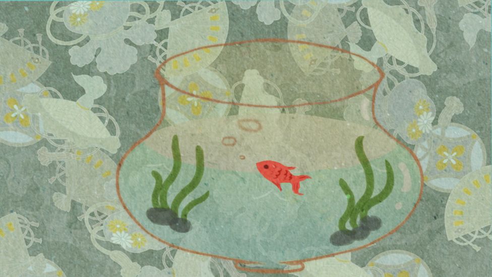 鱼悠悠养成计划游戏截图