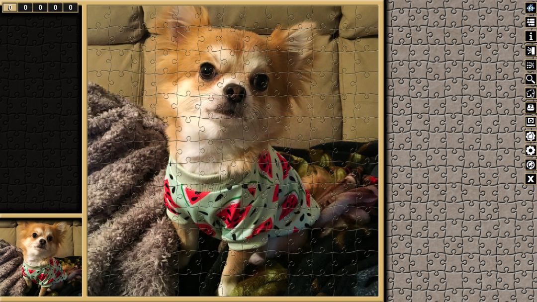 Pixel Puzzles Traditional Jigsaw Puzzles游戏截图