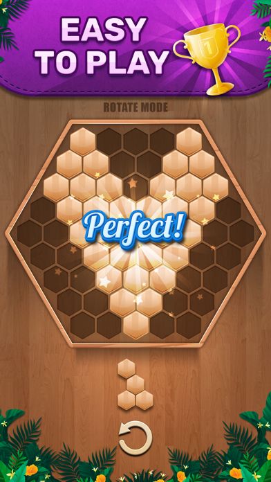 Wooden 100 Block - Hexa Puzzle游戏截图