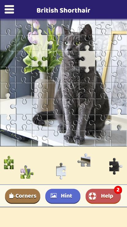British Shorthair Puzzle游戏截图
