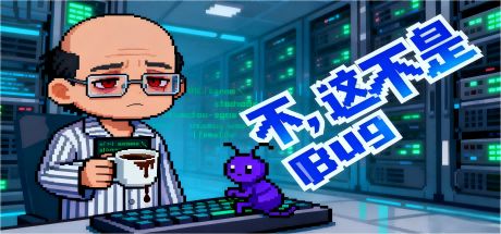 不，这不是Bug 封面