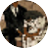 愚人船 NARRENSCHIFFicon