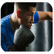 国际房地产拳击冠军游戏icon