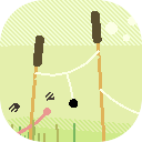 spider ponds
