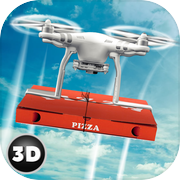 RC无人机比萨送货航班