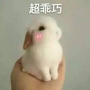 官方大神团｜不得不看的上分神器！六猎阵容解析~