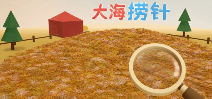 大海捞针 封面