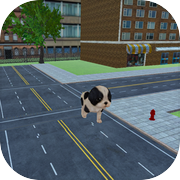 Pooch Fun Pet Adventure