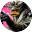绝地鸭卫icon