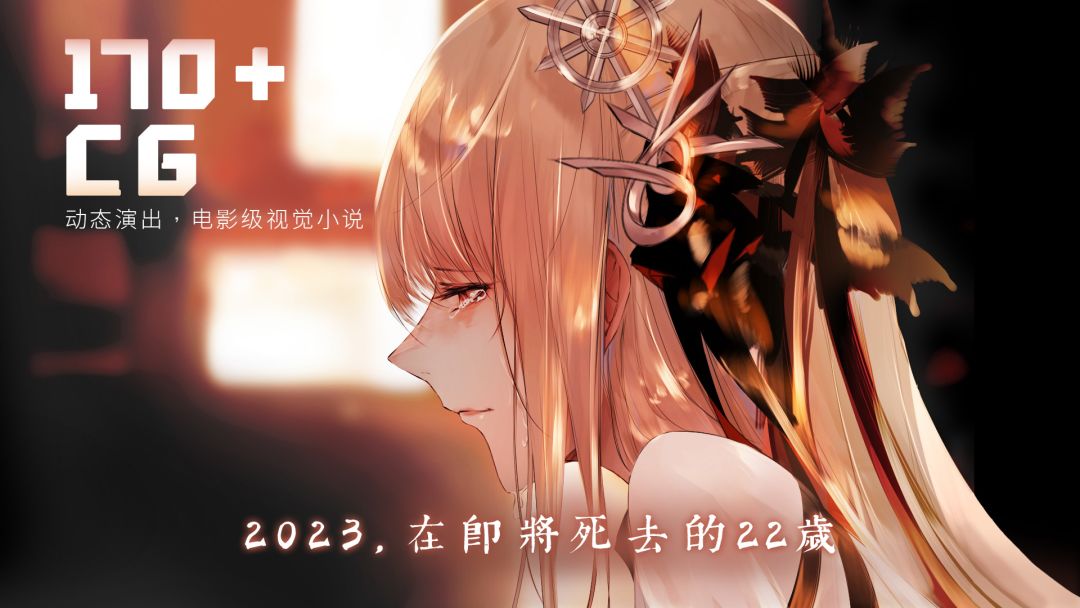 孟德大小姐与自爆少年游戏截图