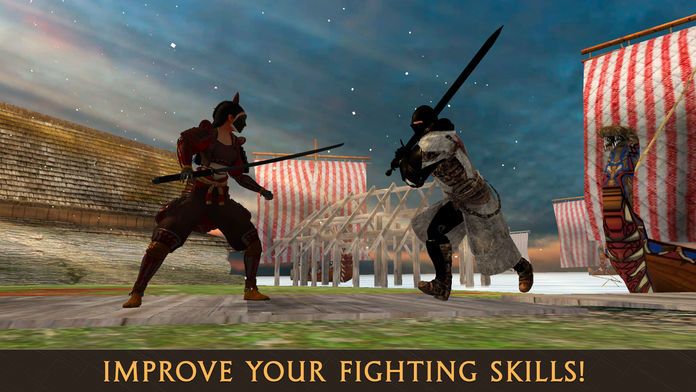 Medieval Knights Sword Fighting 3D Full游戏截图