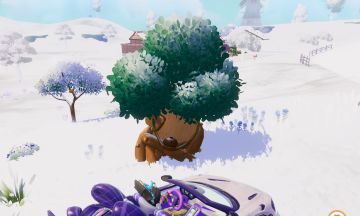 1月2日溜溜木位置