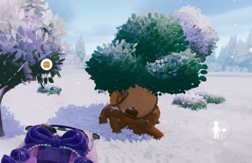 1月19日溜溜木位置