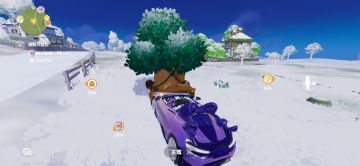 2月17日溜溜木位置