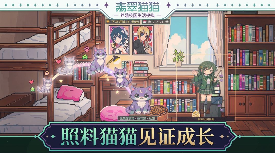 翡翠猫猫校园模拟器游戏截图