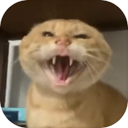 圆哈镇竞技场