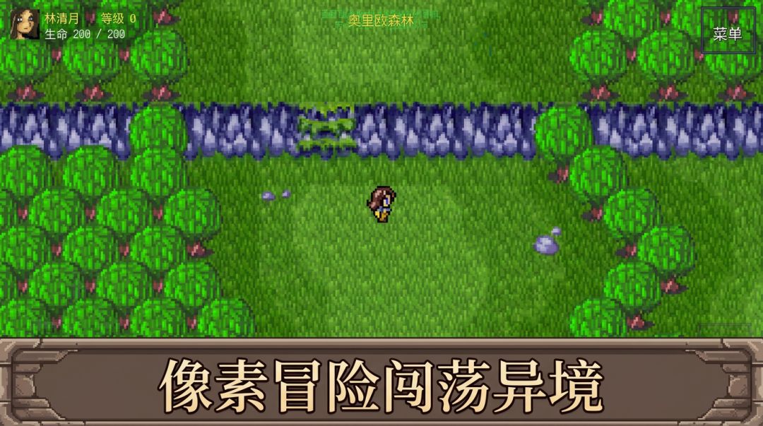 异境冒险录游戏截图