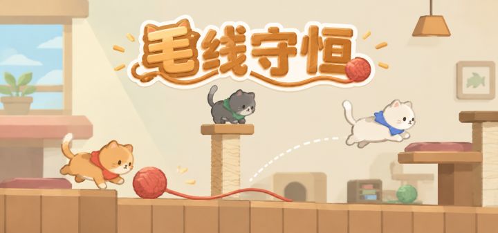 毛线守恒