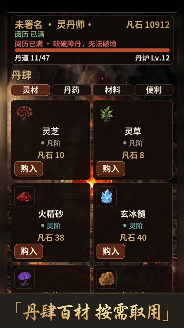 丹道静界游戏截图