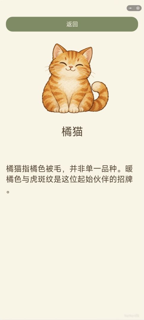 找猫猫游戏截图